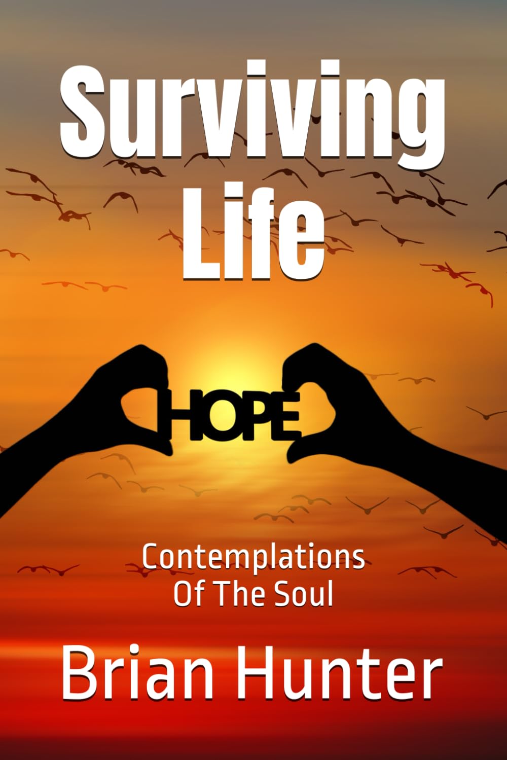 Surviving Life: Contemplations Of The Soul (Brian Hunter Self-Help Series)