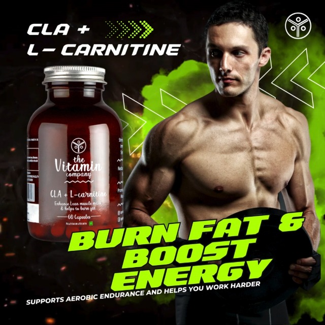 does cla and l carnitine work The Vitamin Company CLA + L-Carnitine Capsules 1000mg, Help in Fat Burning  & Enhance Lean Muscle Mass, May promote Muscle Growth and Exercise  Performance, 60 Capsules : Amazon.in: Health & Personal Care