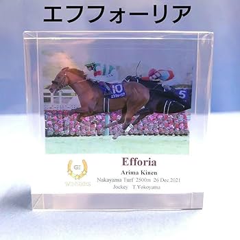 エフフォーリア ぬいぐるみ 有馬記念 アイドルホース【エフフォーリア/'21有馬記念】(Lサイズ