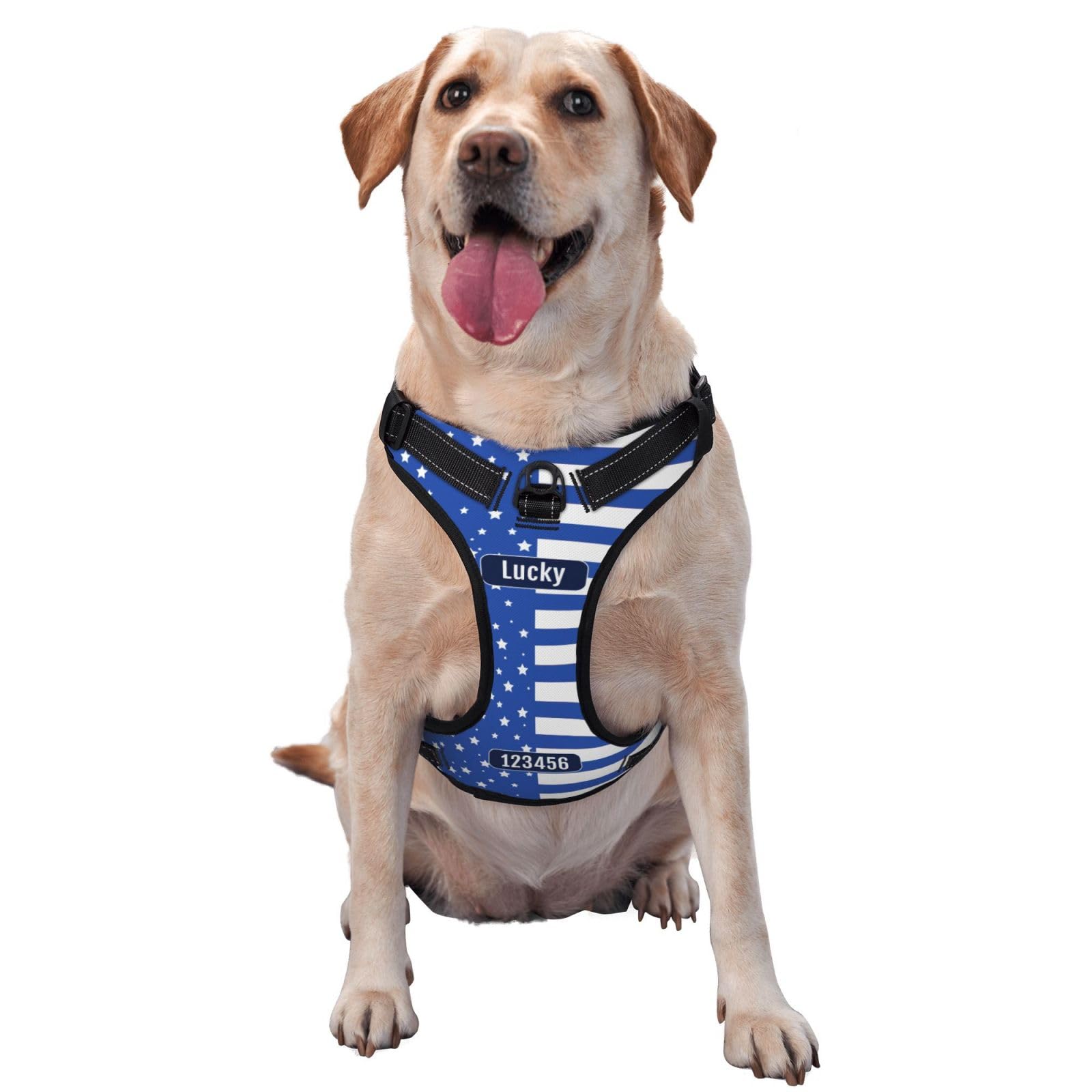 Personalized No Pull Dog Harness Leash, Custom Heavy Duty Reflective Dog Harness with Photo/Name/Phone Number/Text/Logo