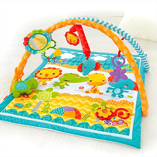 Fisher Price Wigglin' Play Gym by Fisher Price