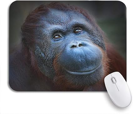Amazon ゲーミングマウスパッド動物の幸せな笑顔ボルネオオランウータンポンゴピグマエウス9 5 X7 9 ノートブック用滑り止めラバーバッキングコンピューターマウスマット Vivaldi マウスパッド 通販 Amazon ゲーミングマウスパッド動物の幸せな笑顔ボルネオオランウータンポンゴピグマエウス9 5 X7 9 ノートブック用滑り止めラバーバッキングコンピューターマウスマット Vivaldi マウスパッド 通販