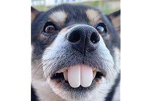 Funny Fake Teeth for Dogs: Hilarious Dog Costume