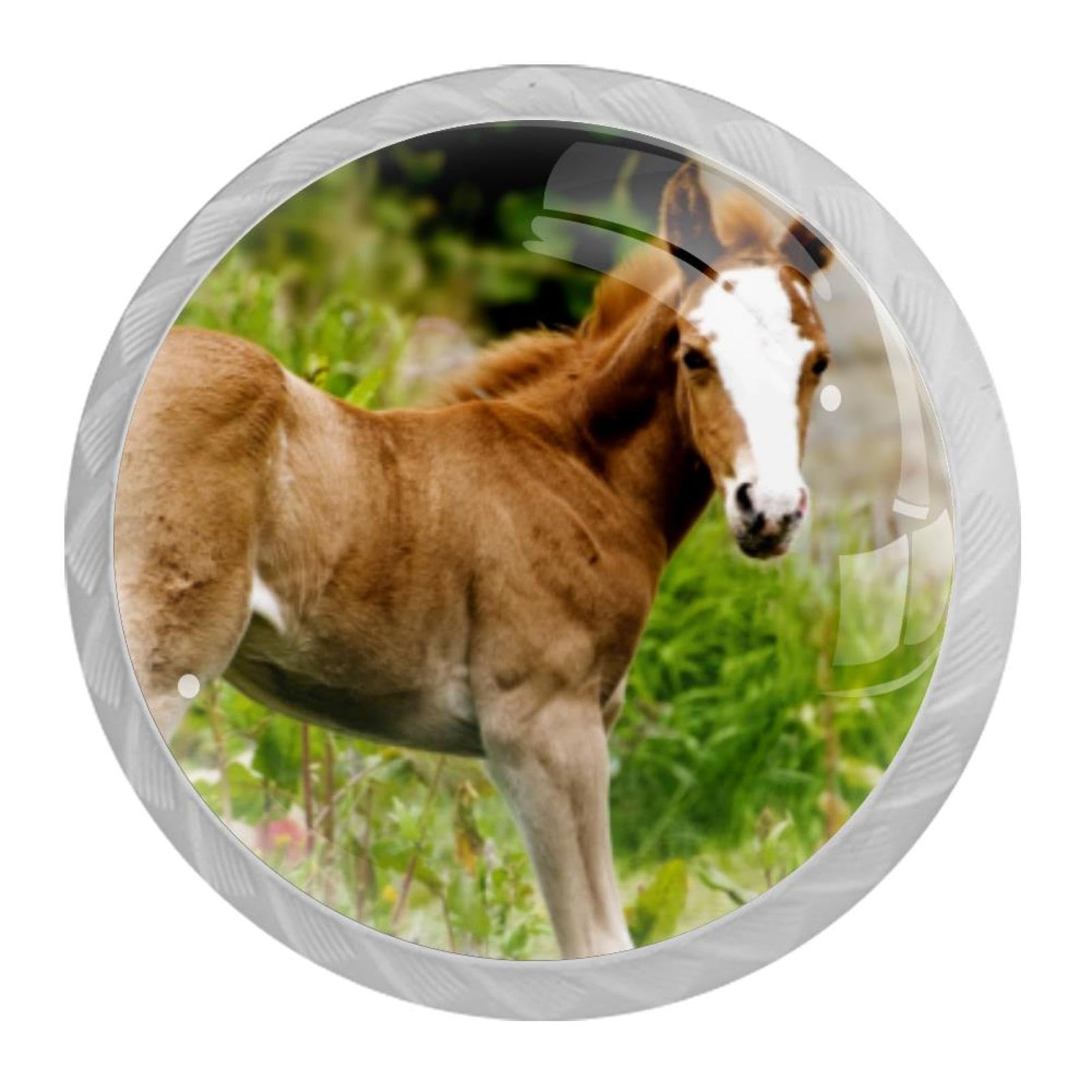 Tqmspg Multi Animal Horse