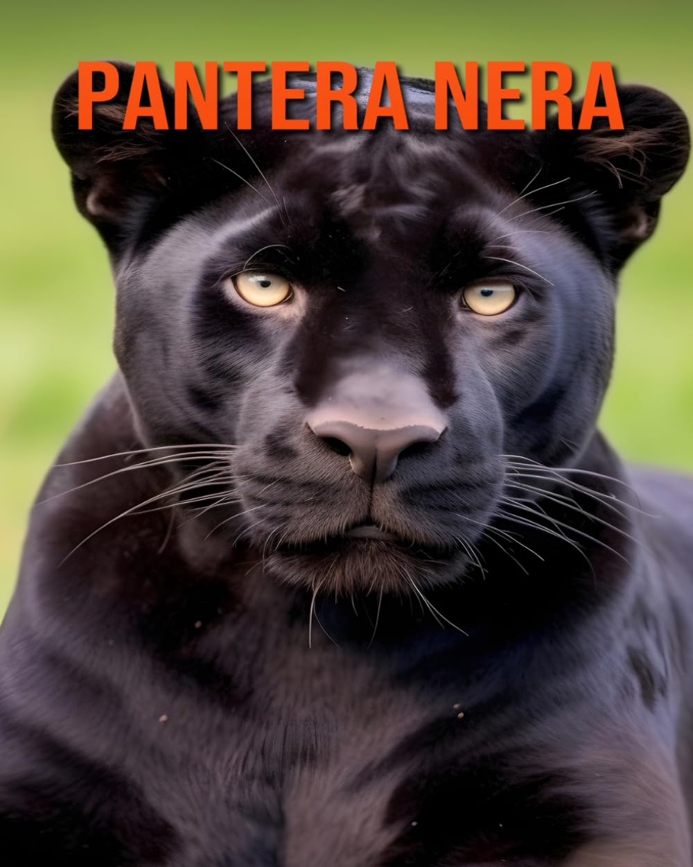 Pantera nera: Fatti affascinanti sui Pantera nera per bambini con splendide immagini!