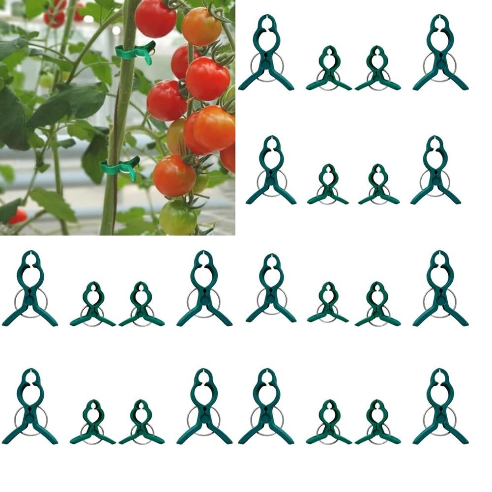 KeuLen Tuteur for fraisiers, Clips Fixes en Plastique, Clips de Support for Plantes grimpantes, Clips Fixes for vignes de Jardin
