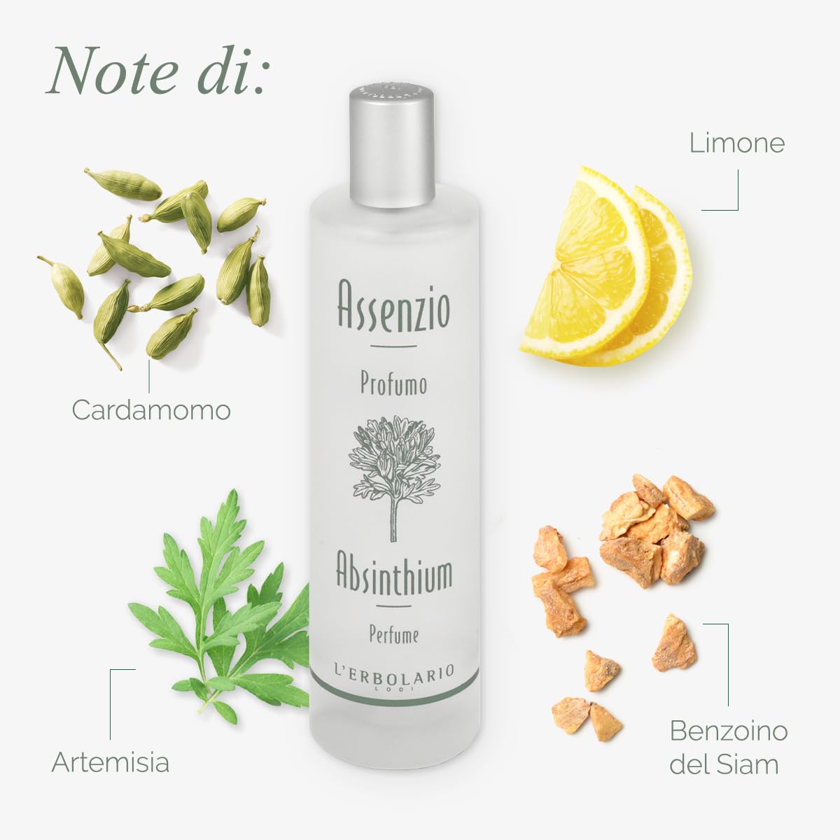 LERBOLARIO Assenzio Agua Perfume perfumy 100 ml