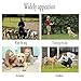 POVAD LED Ultrasonic Dog Repeller, 3 in 1 Ultrasonic Pet Repeller Anti Bark Stop Barking Dog Training Repeller Control Trainer (Black)