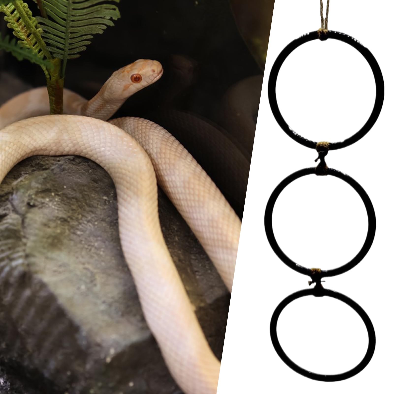 Juguetes De Enriquecimiento para Serpientes - Accesorios para Hábitat De Reptiles,con Aro Y Cadena Juego Interactivo para Anfibios Y Hábitat Interior para Mascotas