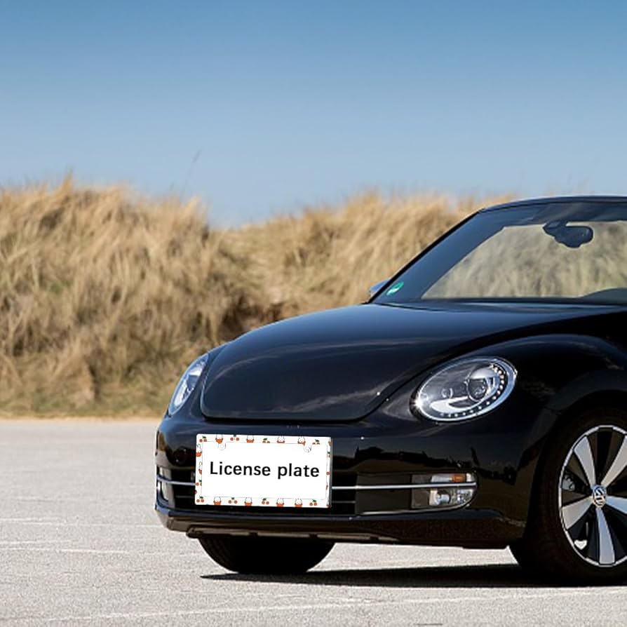 HCAgirls◆ミッフィー &スヌーピーナンバーフレームセット 41UGjD4CRFL.jpg_BO30,255,255,