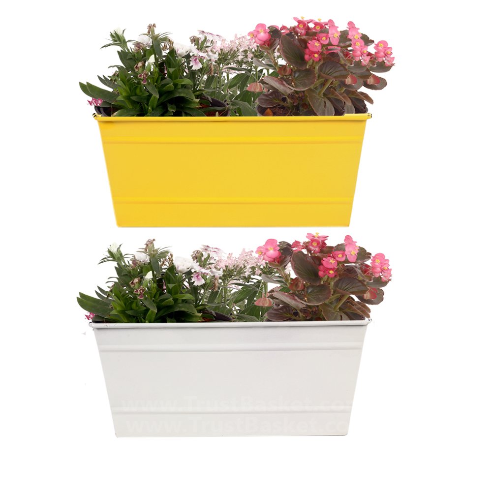 TrustBasket Rectangular Railing Planter - Yellow and Ivory (12 Inch) Set of 2| Heavy Duty Highly Durable Plant Container Gamla for Indoor Home Decor & Outdoor Balcony Garden (B01DUDLP8O) Amazon Price History, Amazon Price Tracker