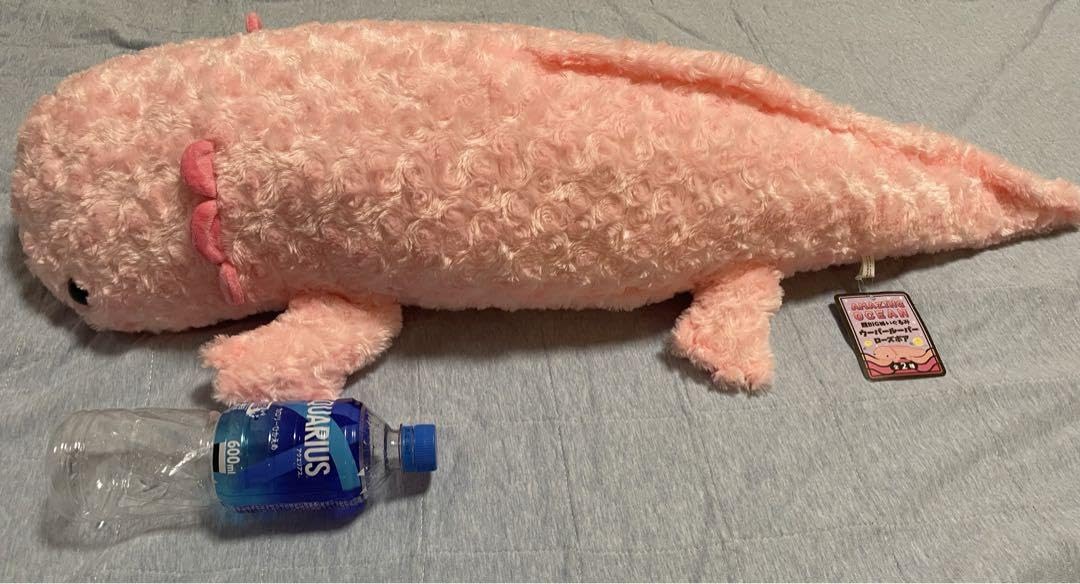 Amazon.co.jp: AMAZING OCEAN ウーパールーパー ローズボア 超BIG