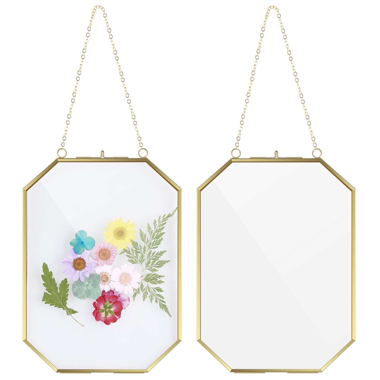 2pcs Glass Pressed Flower Frame Octagon Geometric Glass Hanging Picture Frame with Chain Golden Pressed Flower Glass Frame DIY Double Glass Vintage Floating Picture Frame for Pressed Flowers Photo
