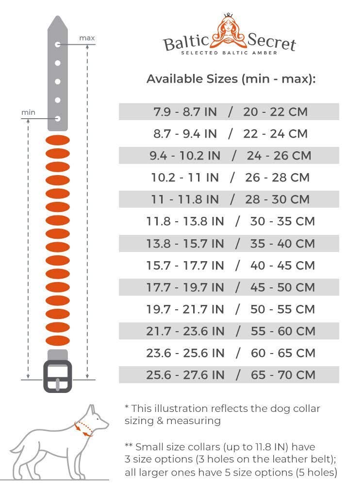 Collana In Ambra Con Tubi In Ceramica EM – Efficaci Microorganismi, Collare In Ambra Per Cani – Ambra (25 – 30 Cm - Foto 2