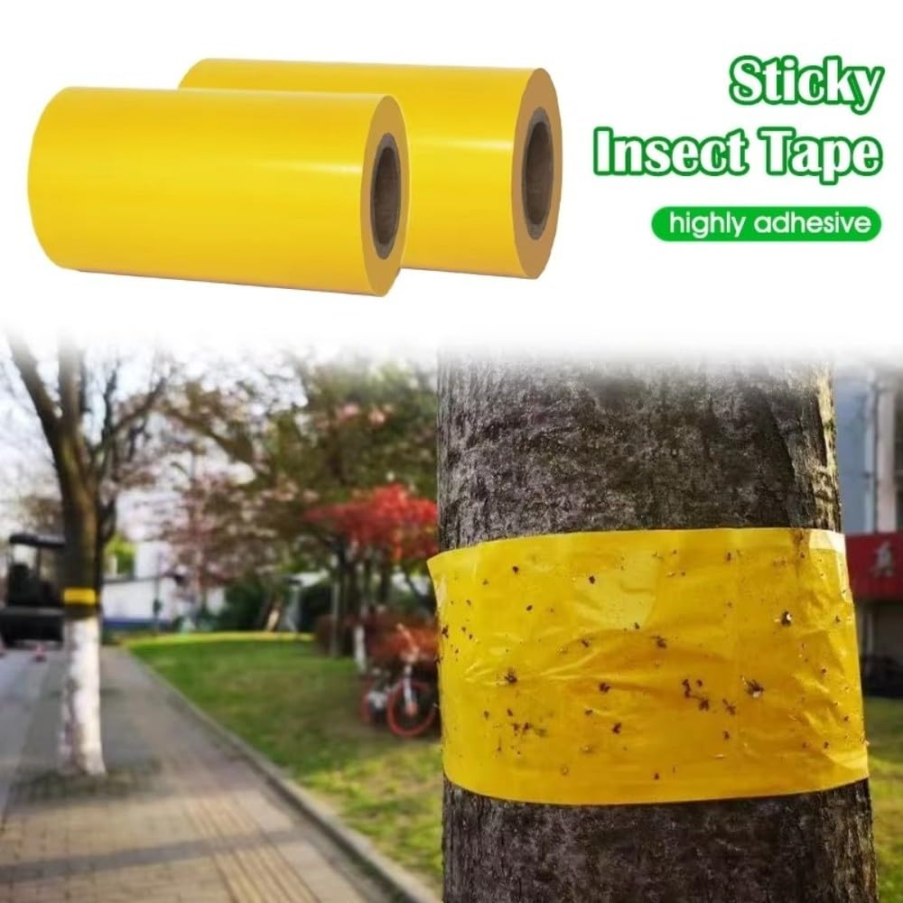 Trees - Cinta adhesiva de doble cara para árboles contra orugas, hormigas y polillas de invierno, trampa para insectos sin pesticidas para jardín (10 cm x 10 m, amarillo)
