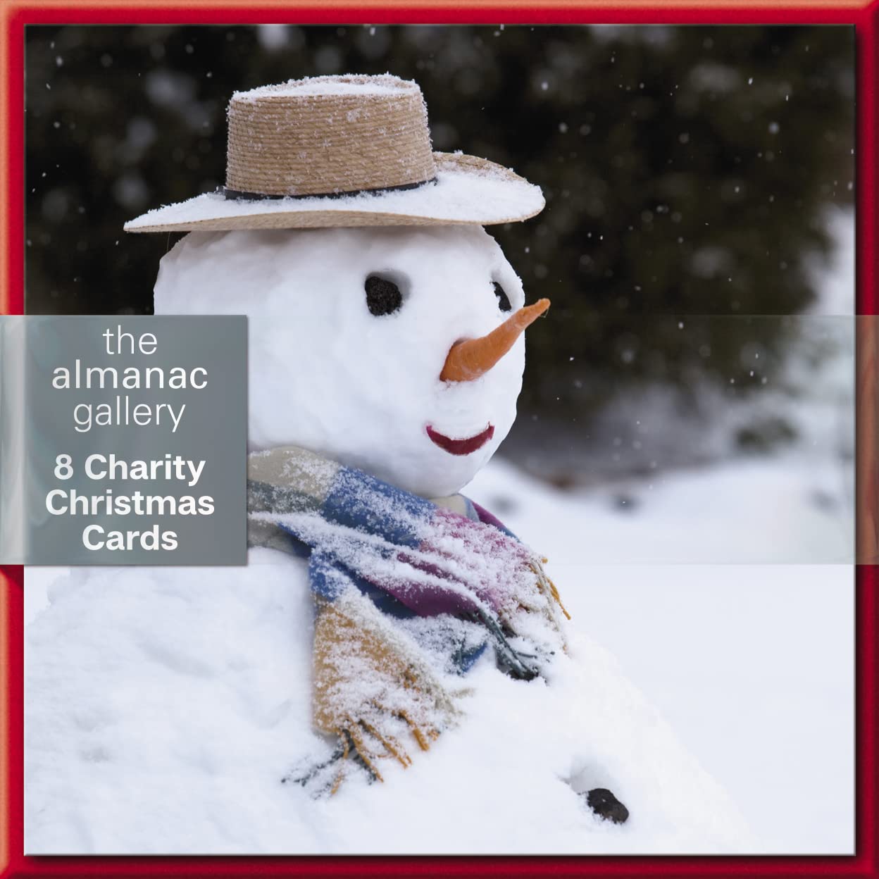 Pack of 8 The Jolly Snowman Mini Charity Christmas Cards Multiple Charities ASCX9830, White with Orange and Black Accents, 10cm x 10cm