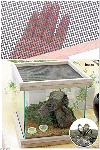 Amazon | 《終売》25cmキューブ用（幅25cm×奥行き25cm