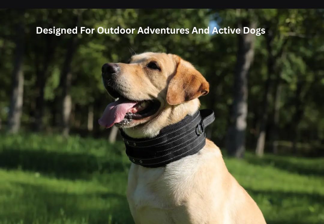 Protective Tactical Dog 4" Wide Collar for Large Dogs – Heavy-Duty Adjustable Nylon Collar with Control Handle, Quick-Release Metal Buckle & D-Ring for Training, Play & Outdoor Safety