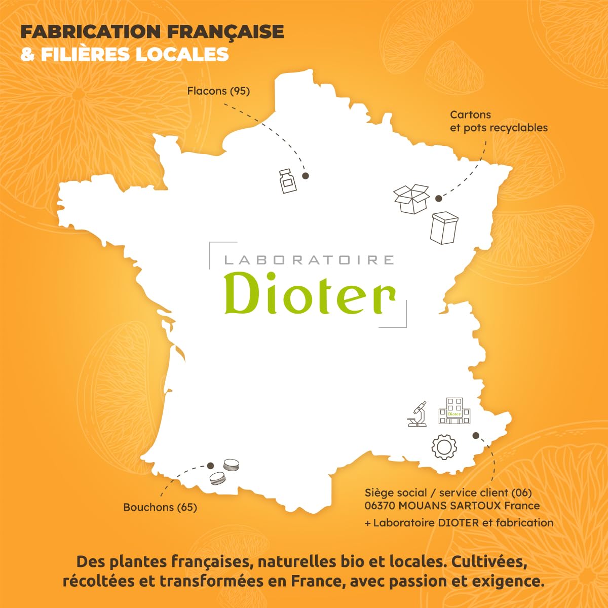 Extrait de Pépins de Pamplemousse Pur 100 ml | Complément Naturel Sans Alcool | Renforce les Défenses Immunitaires | Fabrication Française | Vitamine B9, Sans Conservateur – Laboratoire Dioter