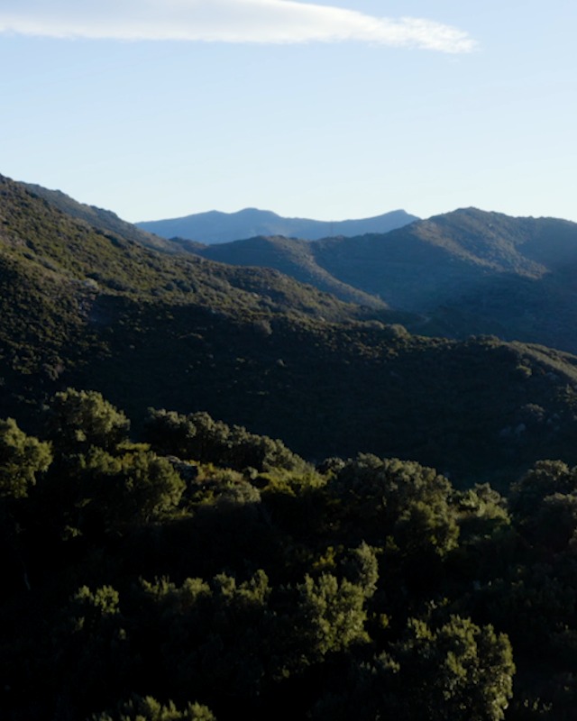 Leva Frizione Moto Lubrificante Catena Bici Zefal Extra Dry Premium - Cera A Secco 120 Ml, Per Strada E MTB Grasso Bici - Foto 3