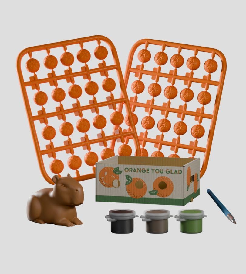 Kaleidos - Caja de frutas Stowaways DIY Craft Kit Caja ciega 6ct CDU