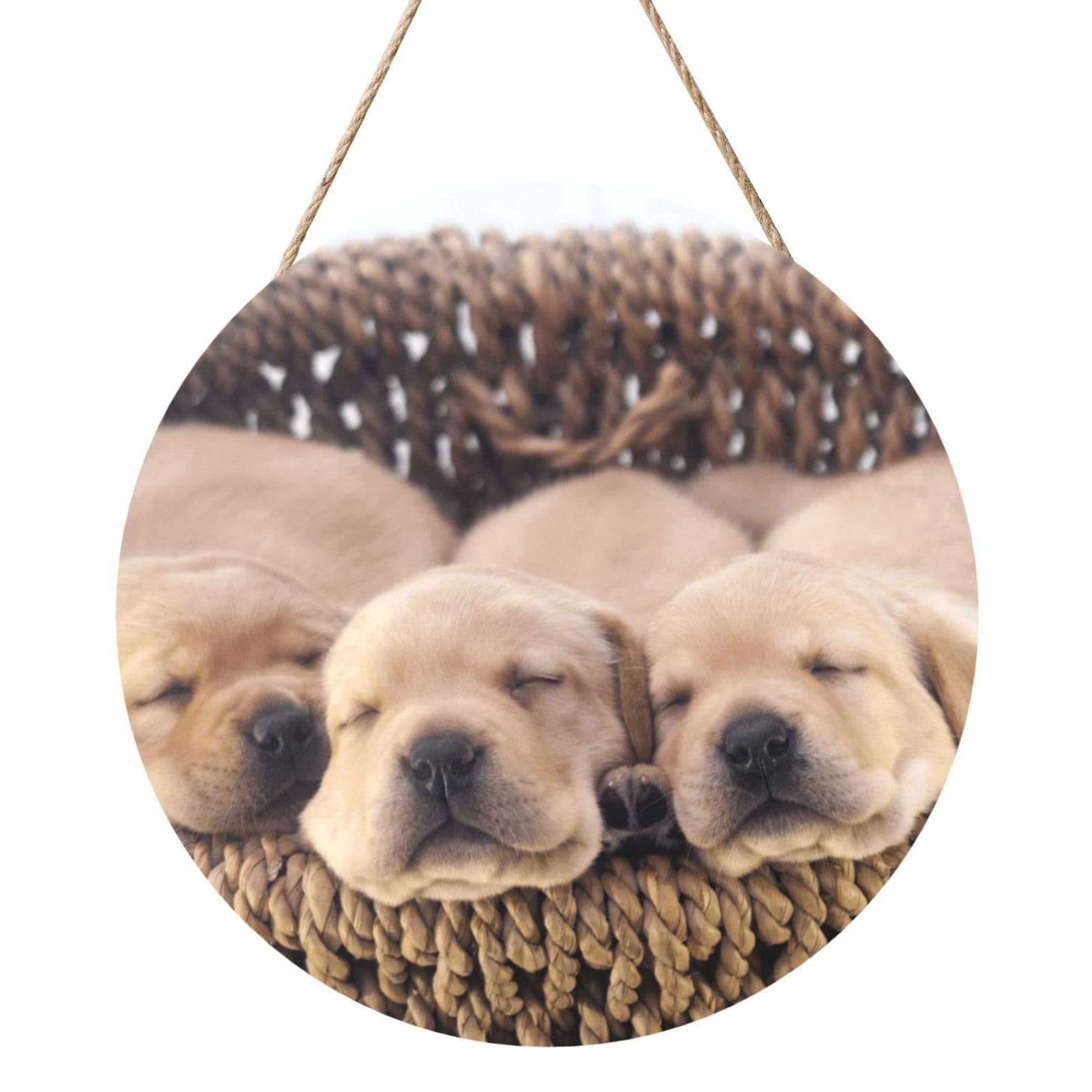 InOmak Labradors Little Puppies Golden Retriever, Round Wood Panel Painting 12 in, Wall Hanging Painting For Home