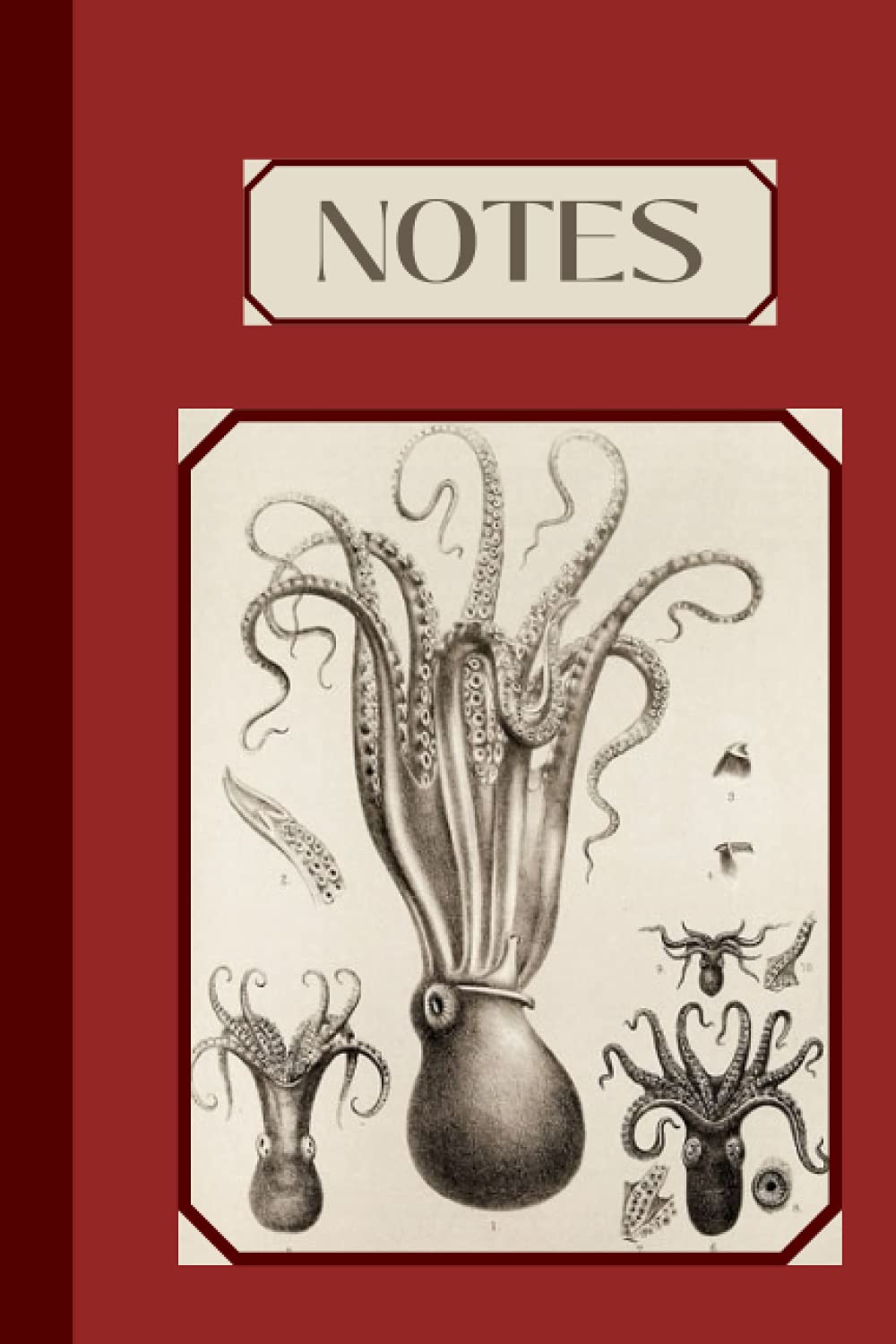 Vintage Squids: A Journal