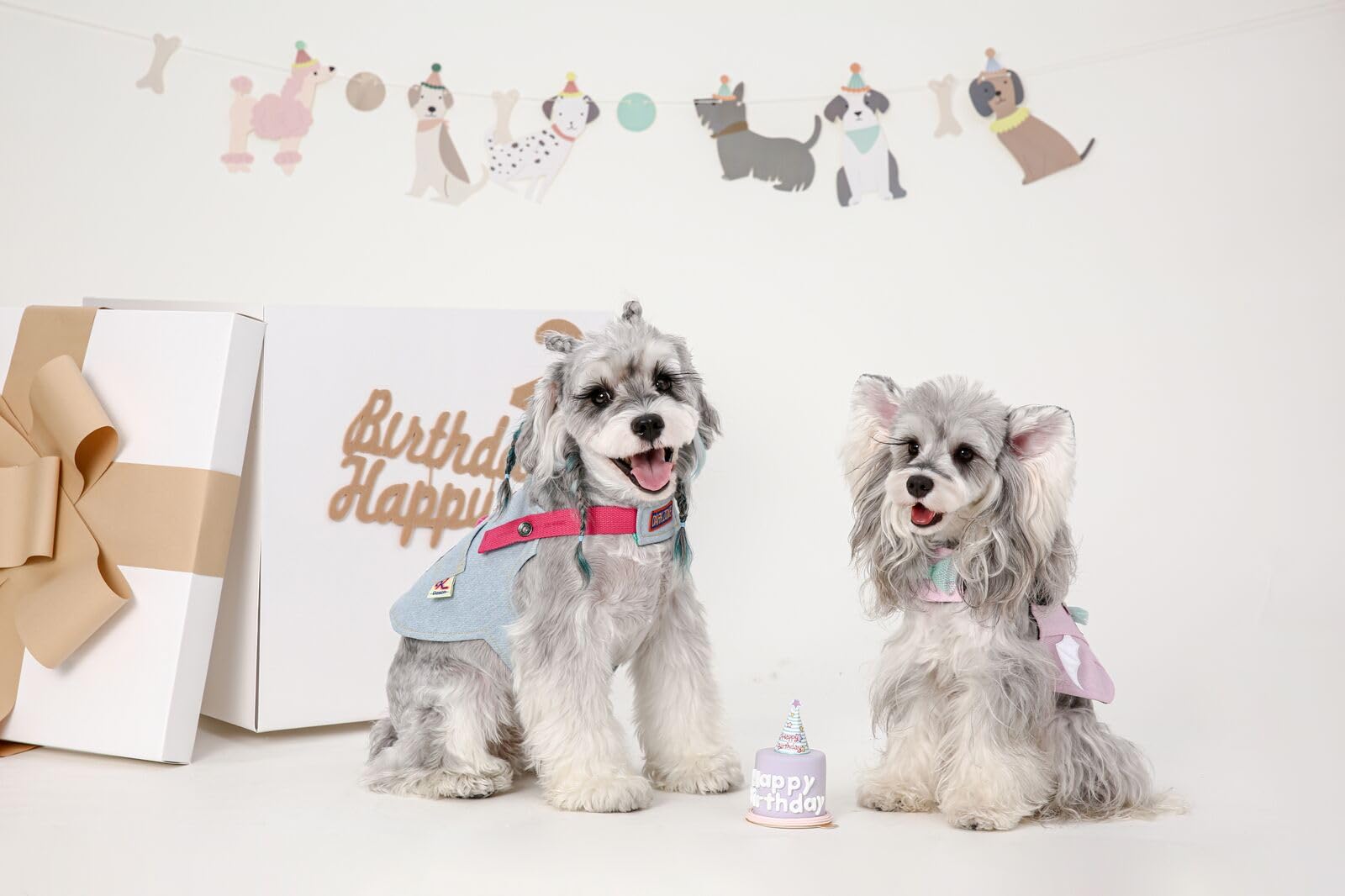 DAZI 犬用ハーネス リード 調整可能 小型犬用 窒息防止犬用ベストハーネス Amazon | DAZI 犬用ハーネス、調整可能なベルクロデニム犬用ハーネス