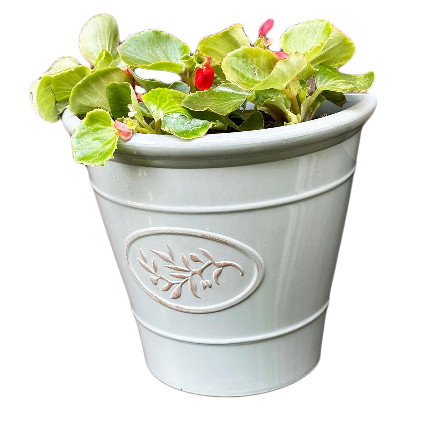 Darthome Glossy Wall Planter, Grey, Ceramic Effect Plastic, Semi-Circular, Weather-Resistant, 21x23cm (6)