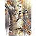 WACYDSD Puzzle Adulte 1000 Pièces Tronc Oiseau Puzzle Classique Kit Bricolage Jouet en Bois Cadeau Unique Décor À La Maison