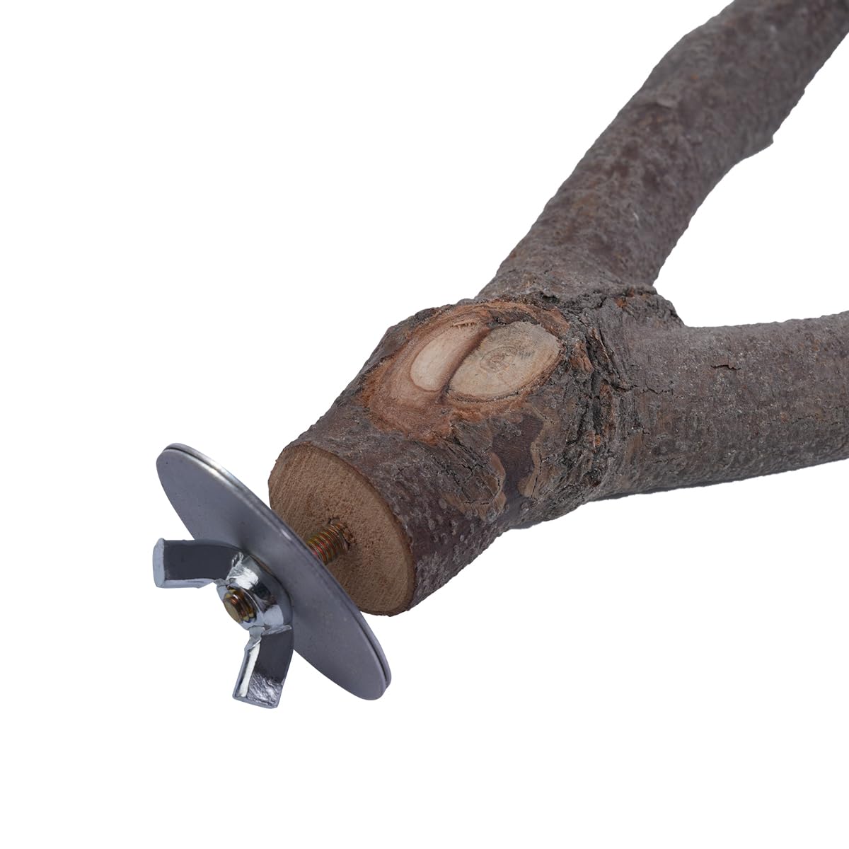 ZONADAH Parrot Perch Natural Y Shape Perch 25cm Bird Swing Birds Stand Grinding Paw Climbing Wood Cage Accessories for Parakeet Cockatiels Budgies Conure Lovebirds Thickness 2-3.5cm - Image 4