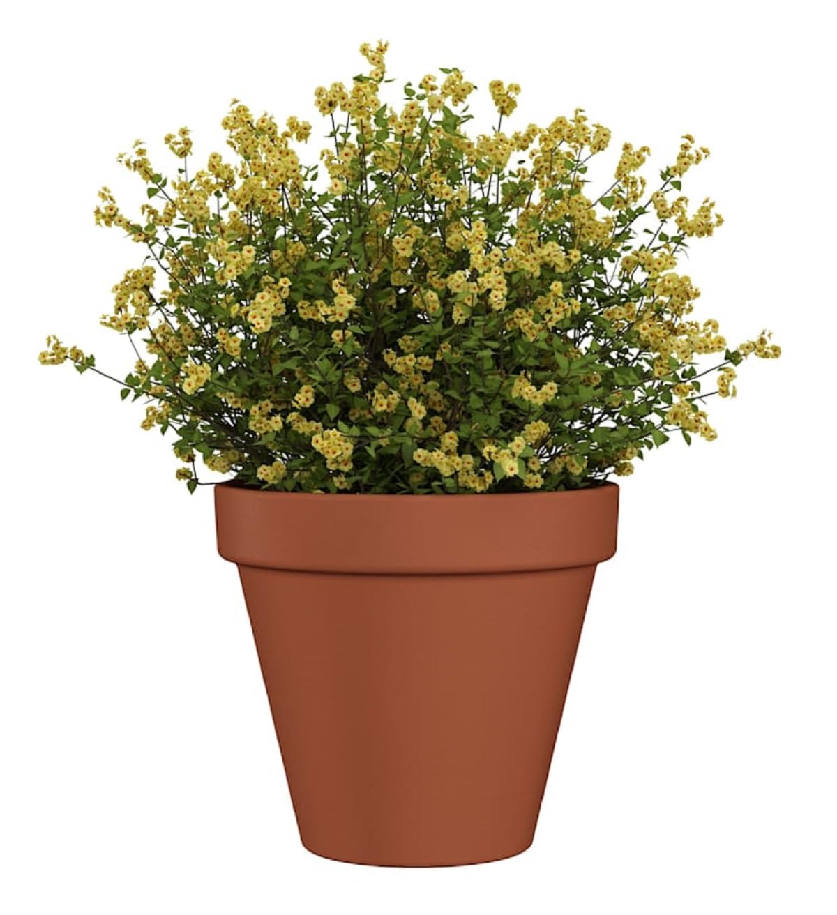 Maceta de Terracota Artesanal de 50 cm de diámetro con Acabado Liso, Diseño Clásico para Decoración de Interiores y Exteriores. Ideal para Plantas de Mediano Tamaño.