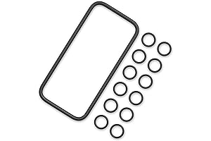 Pentair 460737 Heater Manifold O-Ring Kit