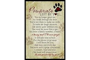 Pawprints Left By You: A Lasting Tribute To Your Cherished Pet