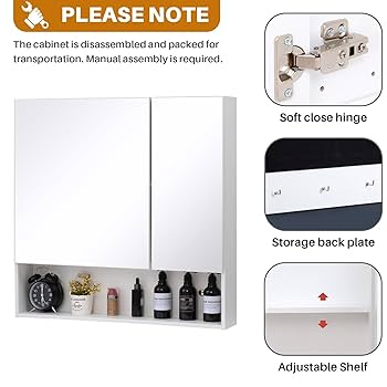 PLACEBO GOBRIN 5'4\" x 20.13\" x 2.56\"32Ｌ Amazon.com: Fundin Plastic Black Medicine Cabinet, Mirror