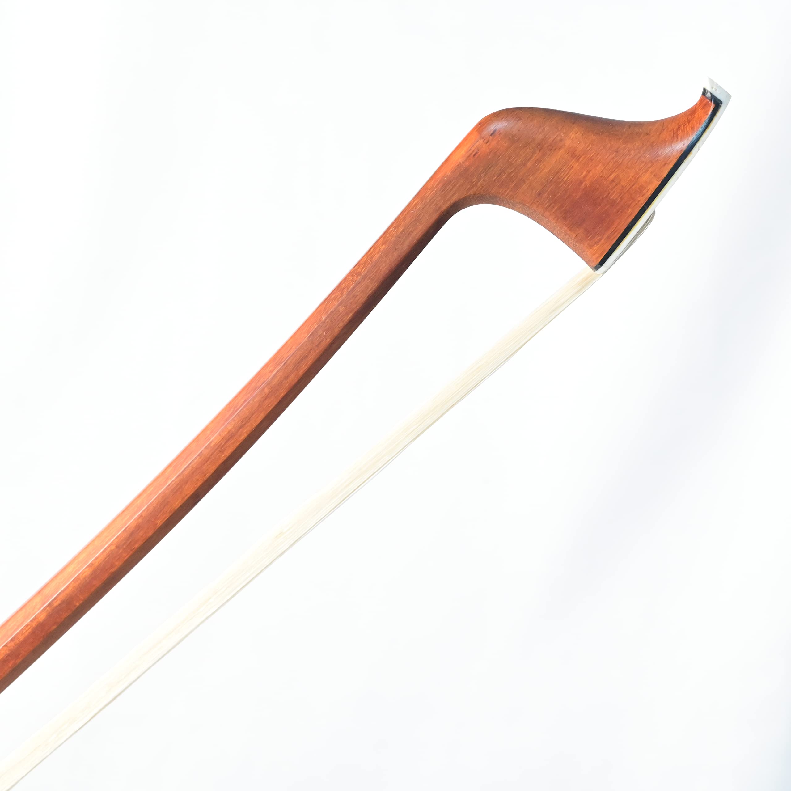 Amazon.co.jp: ARTIGIANO&VIOLIN スネークウッドフロッグ フェルナン