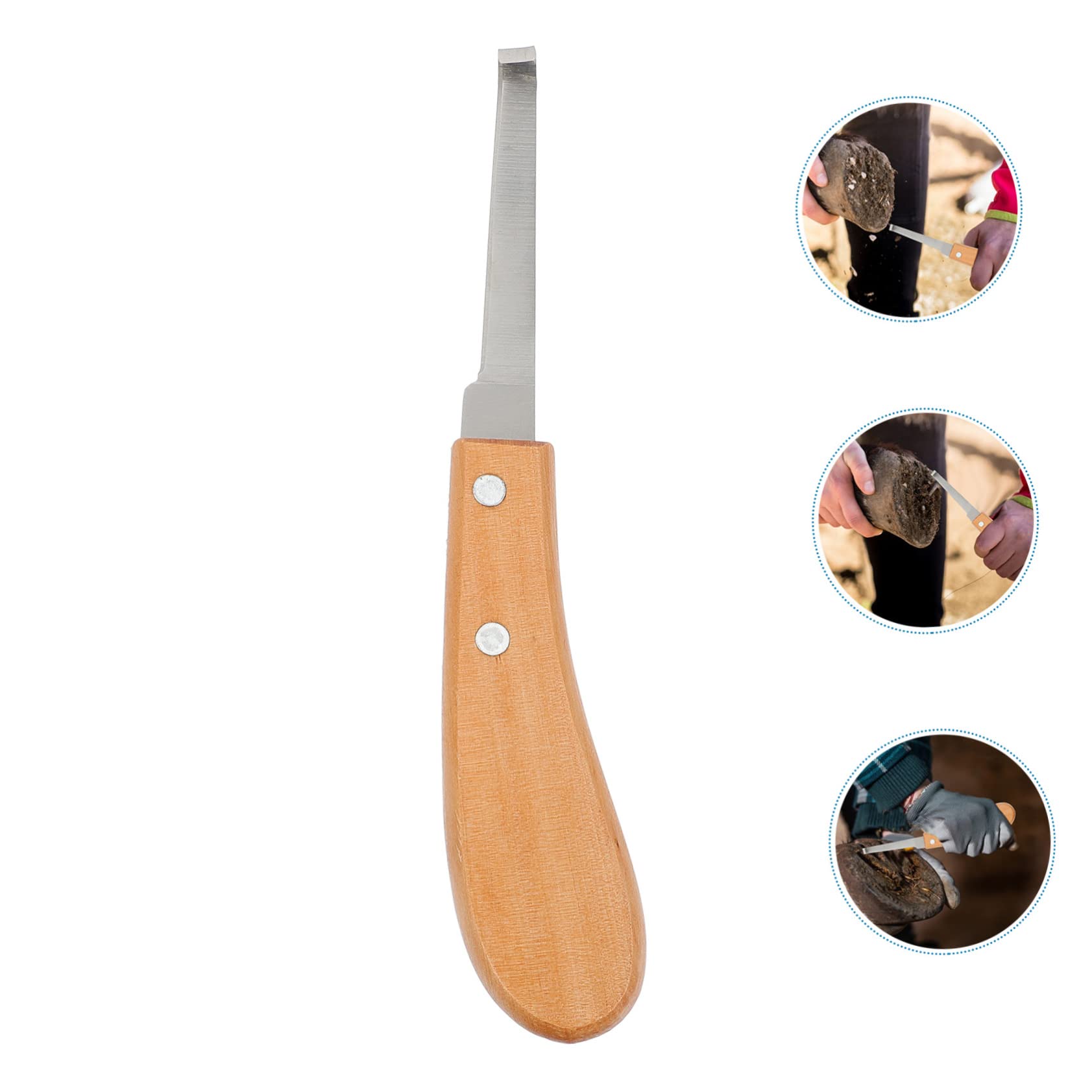 3stücke Hufpflege Werkzeug Aus Edelstahl Hufschneider Mit Holzgriff Für Pferde Rinder Schafe Und Ziegen Leicht Und Langlebig Präzise Huftrimmung Für Gleichmäßige Kanten Und