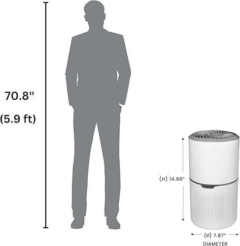 Miniatura 2 de Eliminador 269sf 110V del humo del ION de la opción del ANIMAL DOMÉSTICO del purificador del aire de HEPA