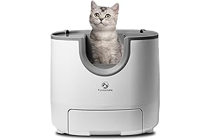 Self Cleaning Litter Box: Revolutionizing Feline Hygiene