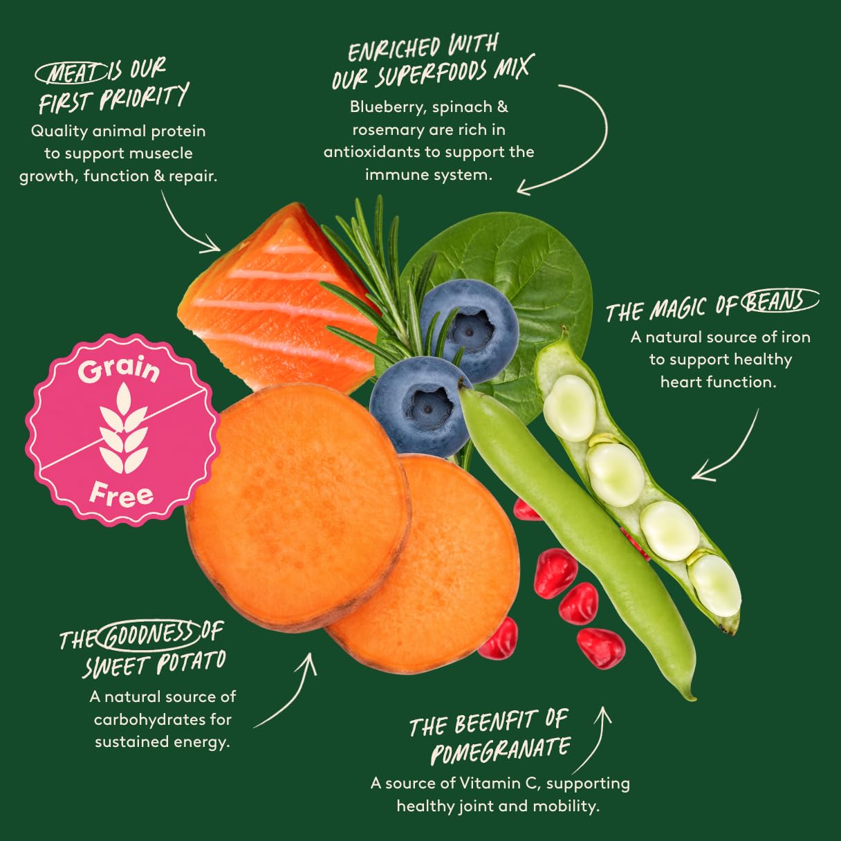 Harringtons Superfoods Hypoallergenes Hundefutter Trocken Erwachsene 12 kg - Lachs & Gemüse - 100% Natürliche Zutaten - Unterstützt Verdauung & Fellgesundheit - Getreidefrei - Vollwertige Ernährung