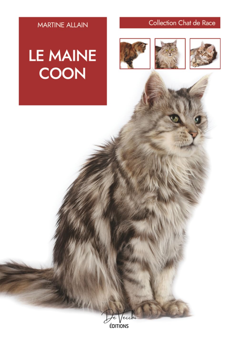 Le Maine Coon: origines, caractère, alimentation, santé, éducation et conseils d'élevage