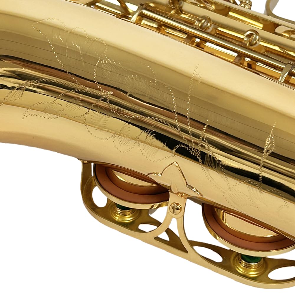 Yinfente - Saxophone Alto Mi Bémol pour débutants adultes, saxophone étudiant, kit complet avec anches, coussinets, étui de transport rigide, chiffon et tige de nettoyage, bec, gants, sangle de cou