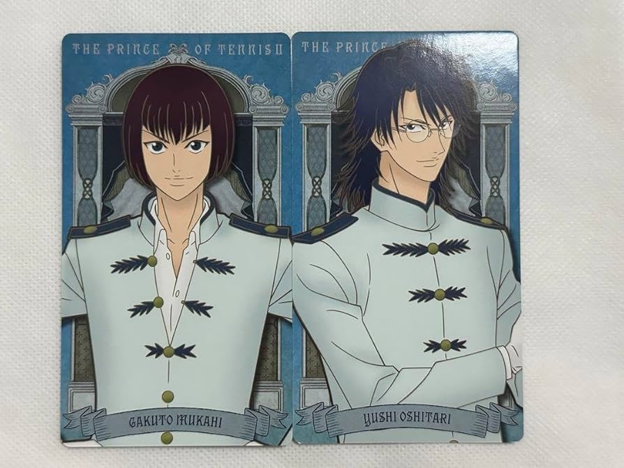 丸井ブン太 庭球浪漫 アルカナカード212枚 丸井ブン太 庭球浪漫 アルカナカード212枚 Amazon.co.jp: 丸井