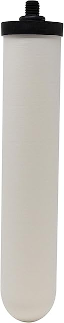 Doulton W9123019 UltraCarb SI Ceramic Drinking Water Filter Cartridge Candle Lime Scale Reduction 10 inch BSP Thread, White, 1 Count (Pack of 1)