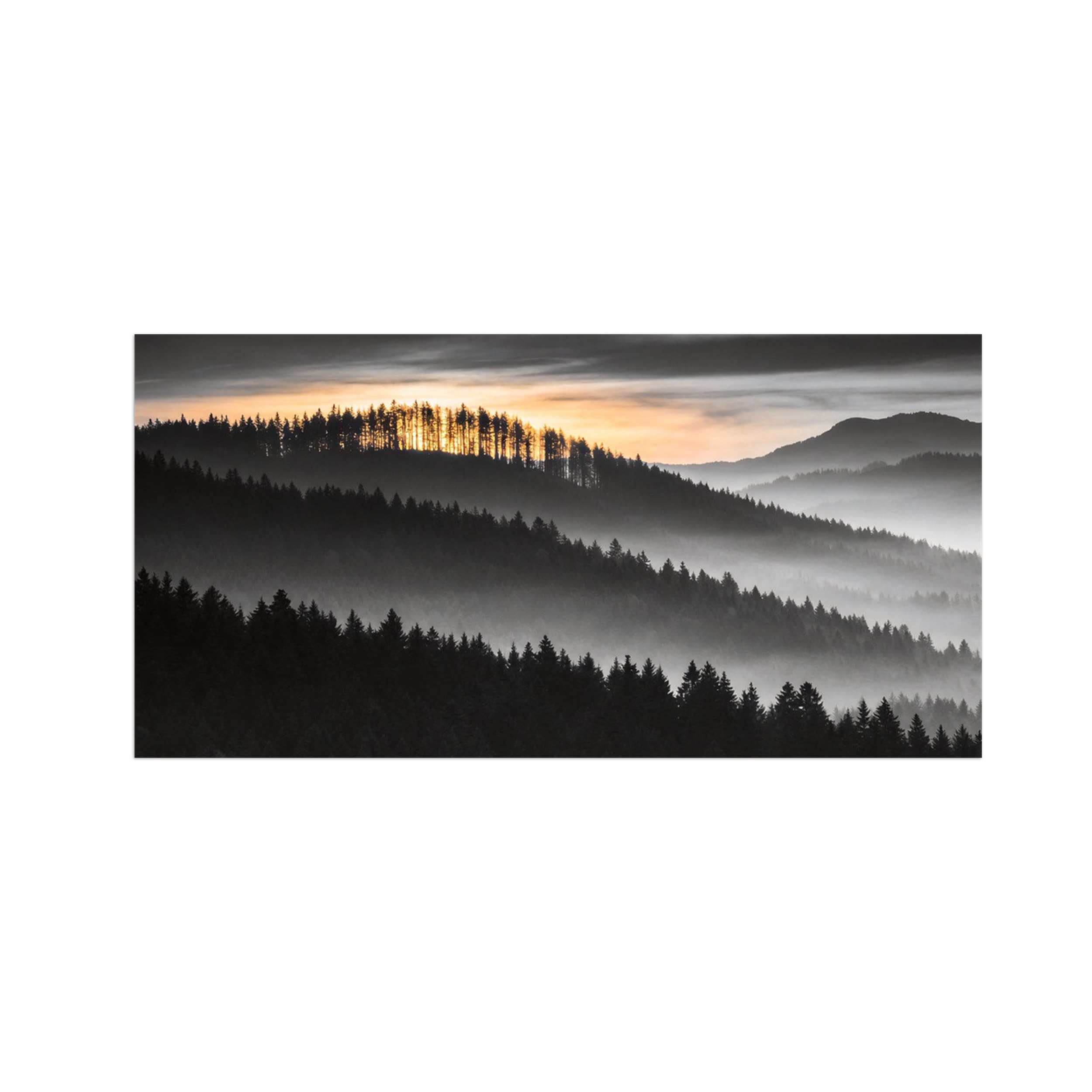 OZPWBVY Black and White Landscape Print Painting-Forest Sunrise-Minimalist Canvas Wall Art Picture for Home Decor 24x47in 60x120cm Unframed