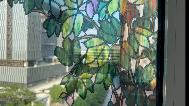 Vinilo decorativo para ventana con diseño de vid verde miniatura 7