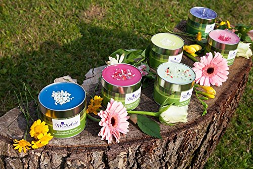 Reptile Suncloud Hook Polarized Sunglass Replacement Lenses in Amber Brown3