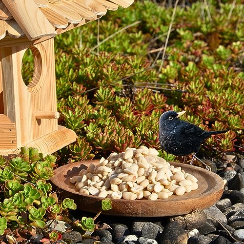 Lyra Pet® | 25 kg Erdnusskerne halbe blanchiert | Nährstoffreiches Streufutter | Wildvogelfutter Ganzjährig | Erdnüsse ohne Schale | Energiespender für Alle Wildvögel | Sommer und Winter