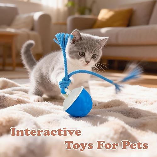 Miniatura 7 de Power Tail 2.0 Juguete para perro (gato), juguetes interactivos para perros (gatos) con movimiento activado, juguete chirriante, bola de salto Azul