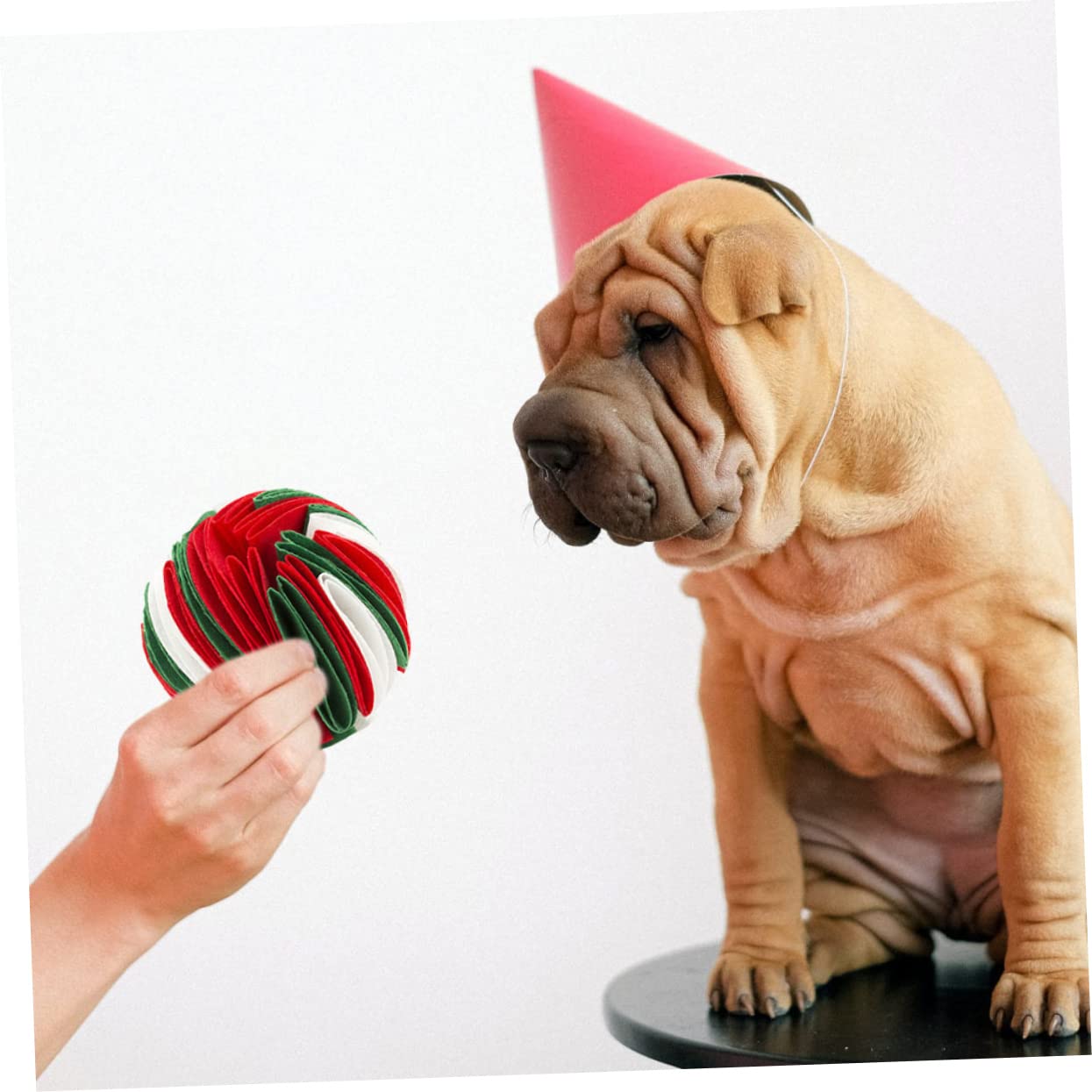 Supvox 3stücke Pet Dog Sniff Toy Bunter Schnüffelball Für Hunde Interaktives Spielzeug Aus Robustem Filz Für Langsames Füttern Bekämpfung Von Langeweile